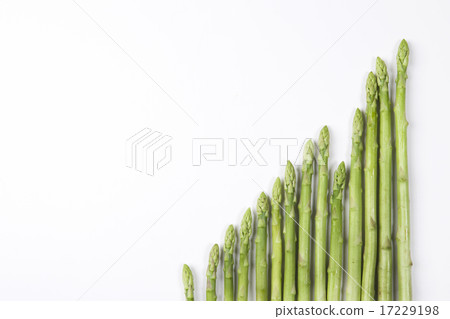 Foods Business_074 Foods Business_074 17229198