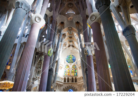 Barcelona_009 Barcelona_009 17229204