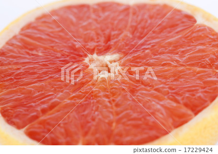 Fruits_087 Fruits_087 17229424