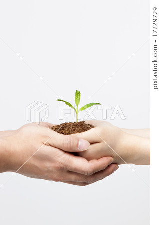 Sprout_063 17229729