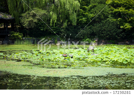 flower world_209 flower world_209 17230281