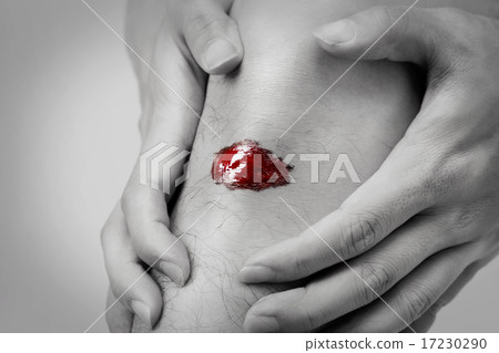 Pain_029 Pain_029 17230290