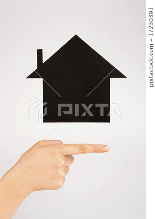 House Concept_011 House Concept_011 17230391