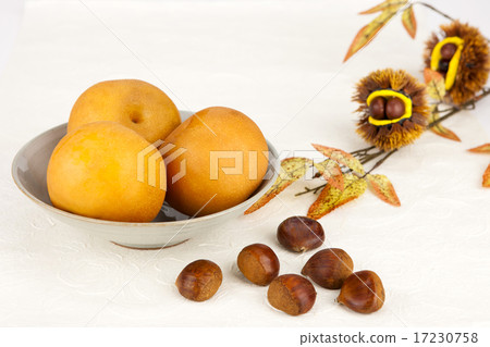 Korean Traditional Festive Props_134 Korean Traditional Festive Props_134 17230758