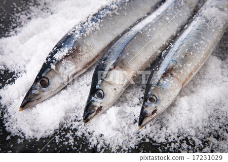 Seafood_009 17231029