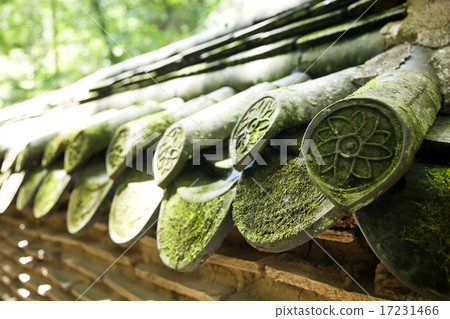 [PHO186] Tradition II_010 17231466