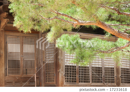 [PHO186] Tradition II_061 17231618