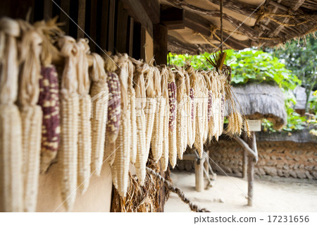 [PHO186] Tradition II_099 17231656