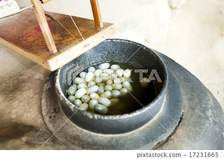 [PHO186] Tradition II_108 17231665