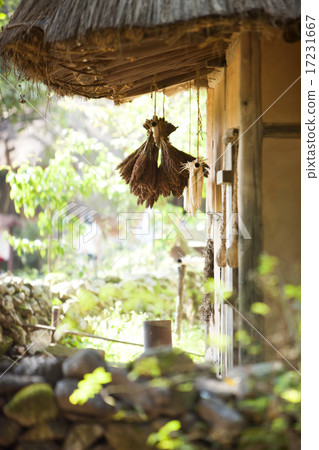 [PHO186] Tradition II_110 17231667
