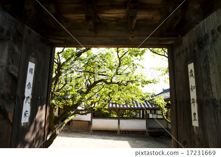 [PHO186] Tradition II_112 17231669