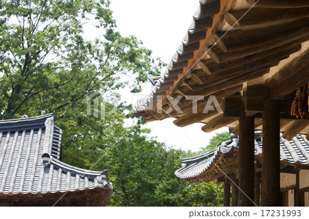 [PHO186] Tradition II_286 17231993