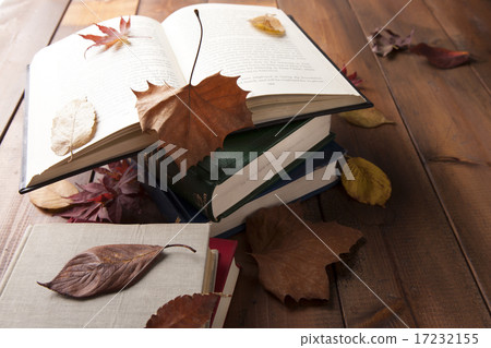 [PHO187] Books & Music_008 17232155