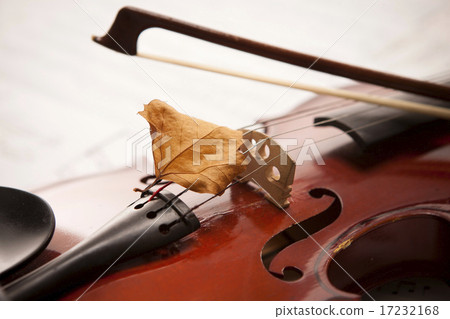 [PHO187] Books & Music_021 17232168