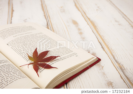[PHO187] Books & Music_037 17232184