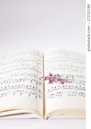 [PHO187] Books & Music_050 17232196