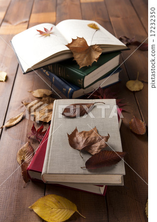[PHO187] Books & Music_053 17232350