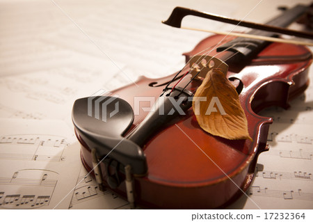 [PHO187] Books & Music_067 17232364