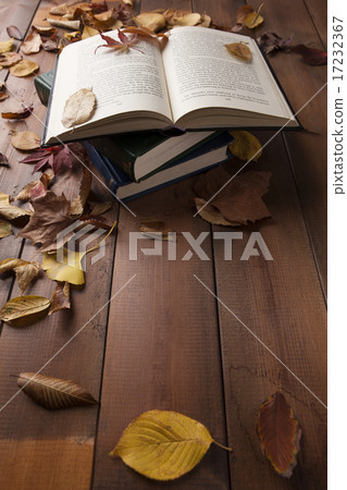 [PHO187] Books & Music_070 17232367