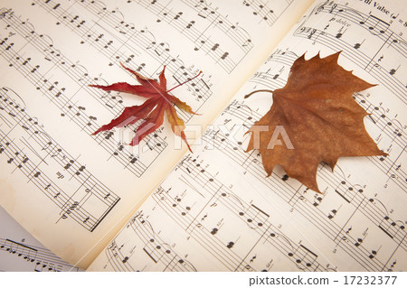 [PHO187] Books & Music_080 17232377