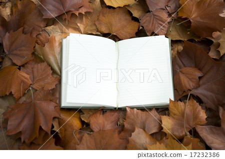 [PHO187] Books & Music_089 17232386