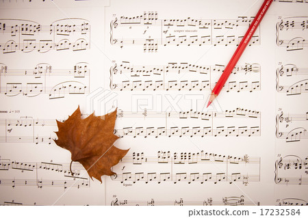 [PHO187] Books & Music_107 17232584