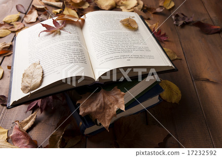 [PHO187] Books & Music_115 17232592
