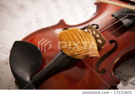 [PHO187] Books & Music_128 17232605