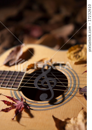 [PHO187] Books & Music_133 17232610