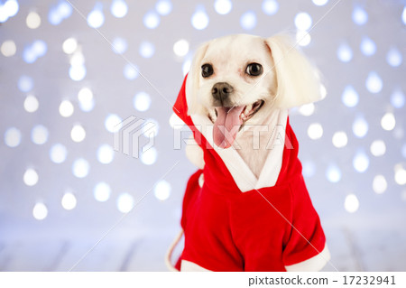 [PHO199] Christmas 038 17232941
