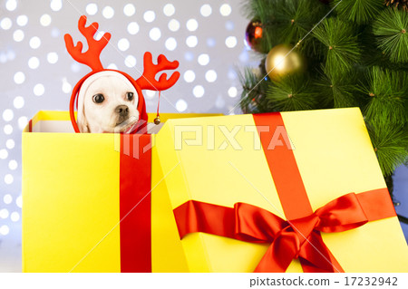 [PHO199] Christmas 039 17232942