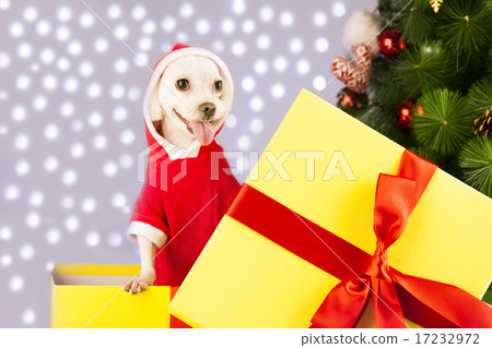[PHO199] Christmas 063 17232972