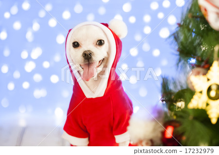[PHO199] Christmas 070 17232979