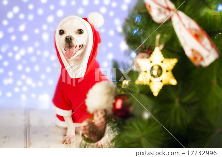 [PHO199] Christmas 087 17232996