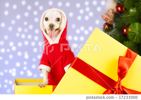 [PHO199] Christmas 091 17233000