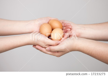 [PHO202] donation 044 17233273