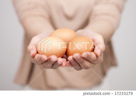 [PHO202] donation 010 17233279