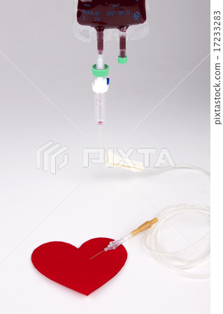 [PHO202] donation 013 17233283