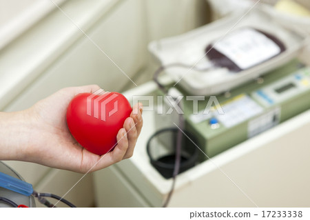 [PHO202] donation 042 17233338