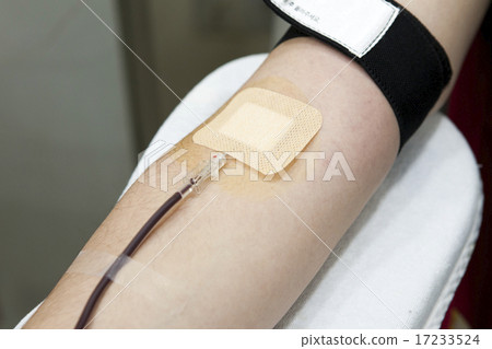 [PHO202] donation 090 17233524