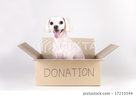 [PHO202] donation 071 17233544