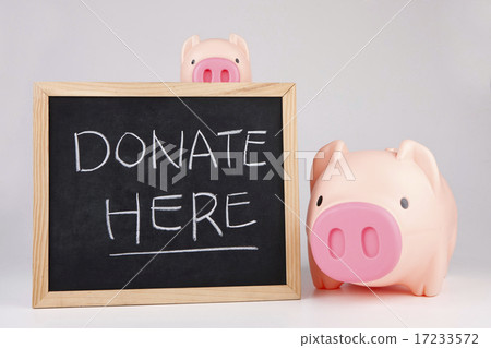 [PHO202] donation 091 17233572