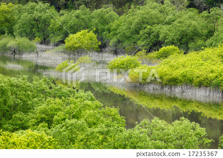 Fresh green Satou dam Fresh green Satou dam 17235367