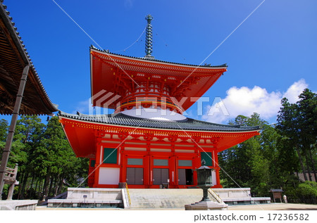 Koyasan Nemoto表參道 17236582