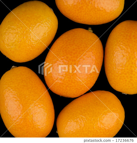 Oval Kumquats On Black Background Oval Kumquats On Black Background 17236676