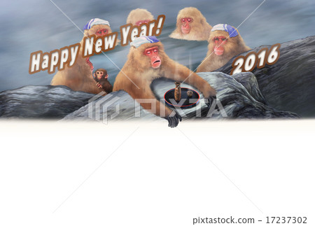 新年卡2016年日本猴子進入溫泉 - 側面全能酒精字符 新年卡2016年日本猴子進入溫泉 - 側面全能酒精字符 17237302