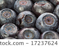 Unfrozen blueberries. Macro. Closeup 17237624
