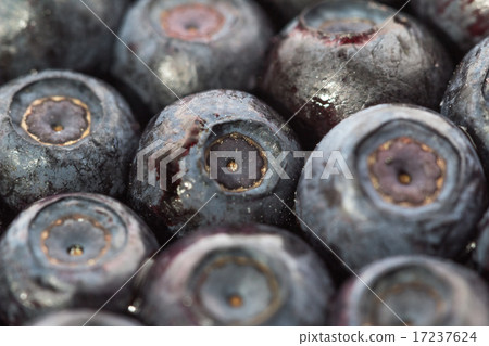 Unfrozen blueberries. Macro. Closeup Unfrozen blueberries. Macro. Closeup 17237624
