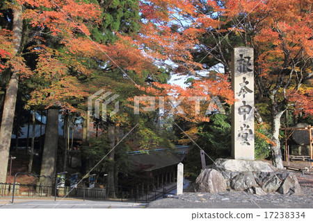 Hiezan Enryakuji在秋天 17238334