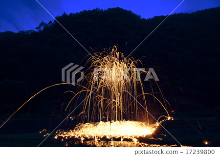 Fire festival raising pine treasure 17239800